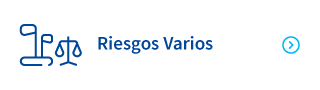 Riesgos Varios