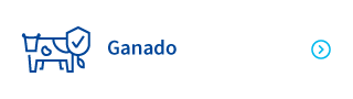 Ganado