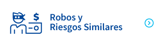 Robos y Riesgos Similares Empresas